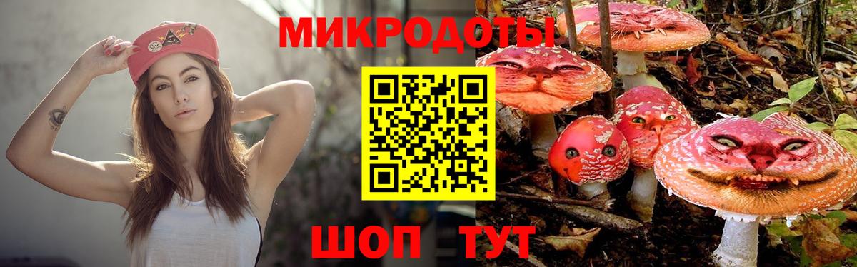 Нальчик  Галлюциногенные грибы Psilocybine cubensis  Вход с VPN 